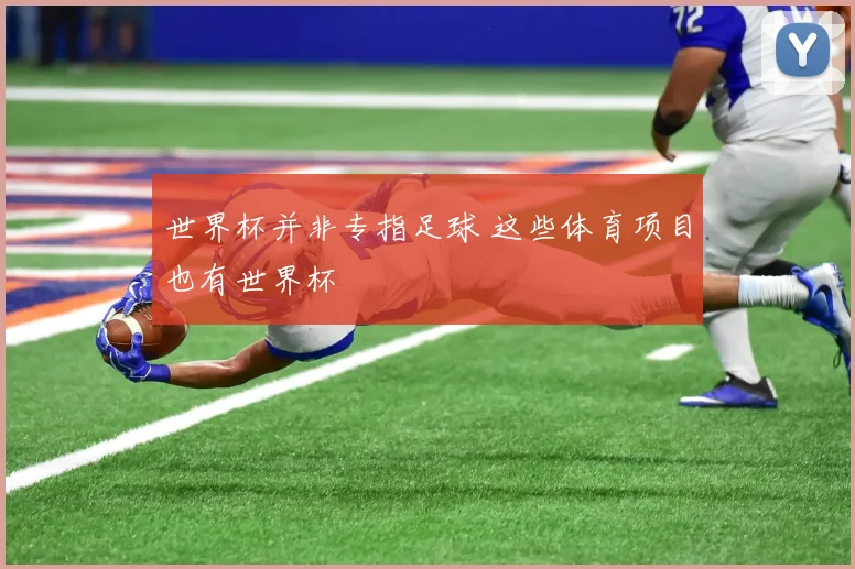 世界杯并非专指足球 这些体育项目也有世界杯