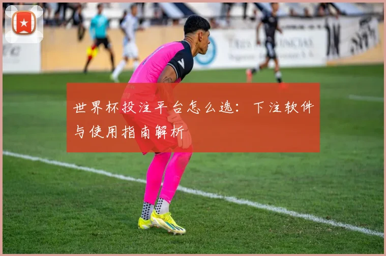 世界杯投注平台怎么选：下注软件与使用指南解析