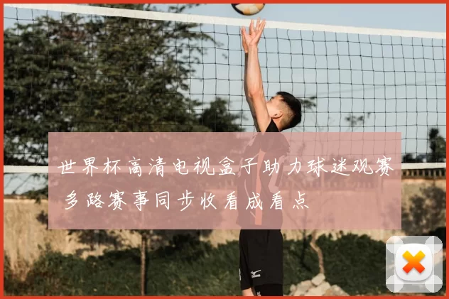 世界杯高清电视盒子助力球迷观赛 多路赛事同步收看成看点