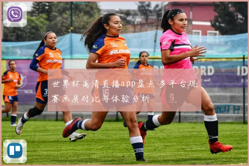 世界杯高清直播app盘点 多平台观赛画质对比与体验分析
