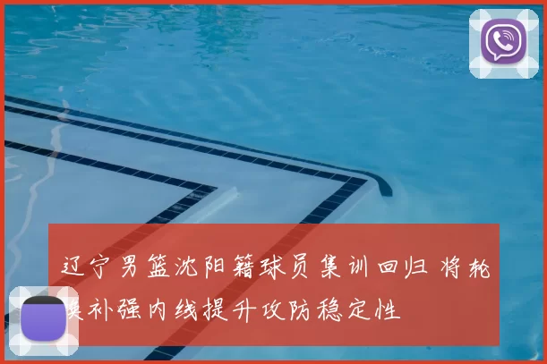 辽宁男篮沈阳籍球员集训回归 将轮换补强内线提升攻防稳定性