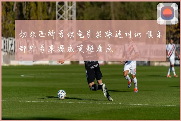 切尔西绰号切龟引发球迷讨论 俱乐部外号来源成英超看点