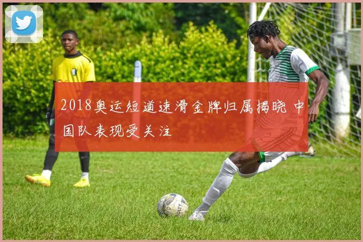 2018奥运短道速滑金牌归属揭晓 中国队表现受关注