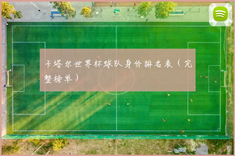 卡塔尔世界杯球队身价排名表（完整榜单）
