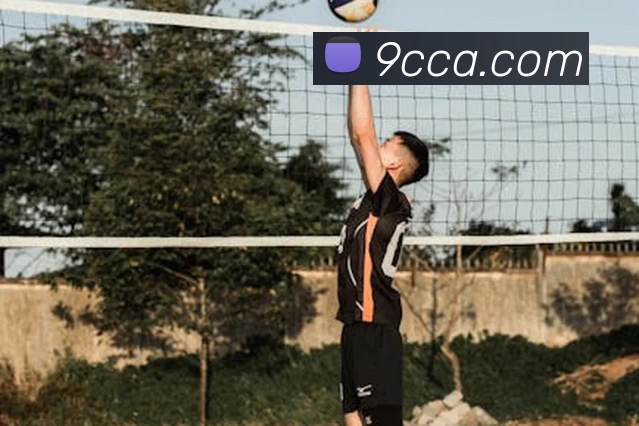 多媒体互动体验