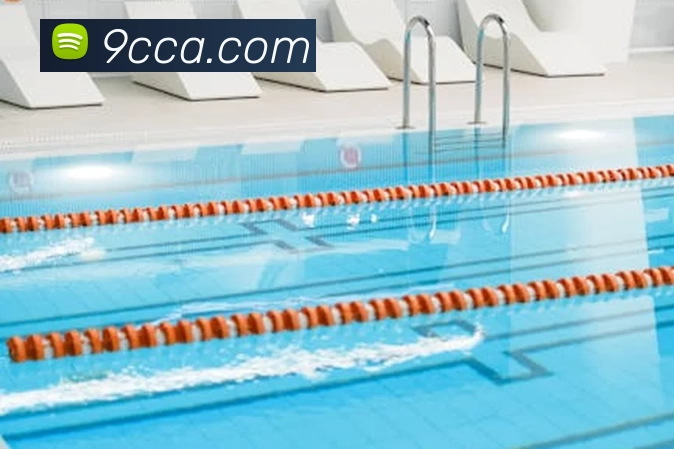 k1体育app官方下载(中国)有限公司 - 官网APP 高清赛事图