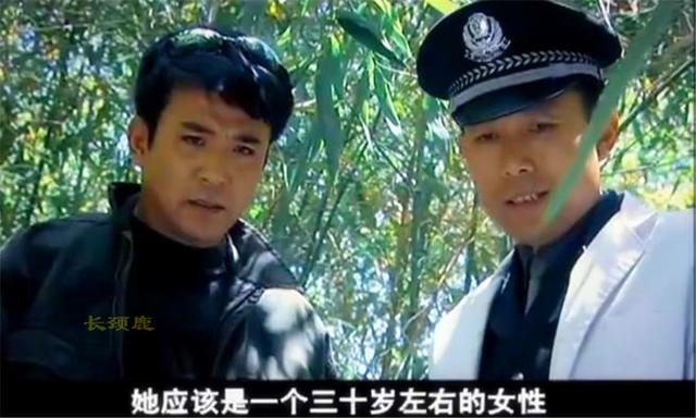 刑警使命第二部（刑警使命 电视剧剧情介绍）