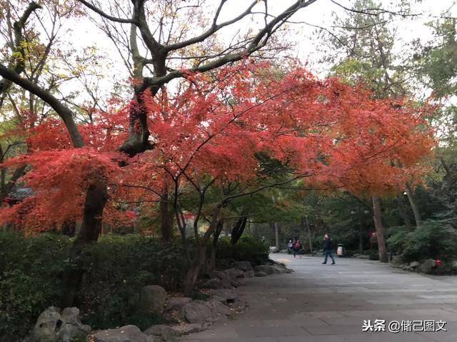 济公在哪出家为僧（济公出家在哪个寺院）